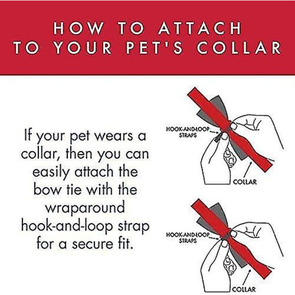 Tillbehör till slipsar för husdjur|intressant hundslips|härlig