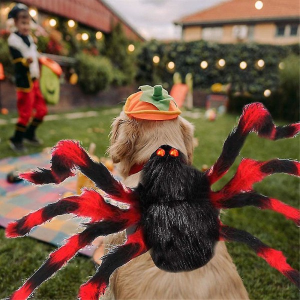 Kjæledyr kostyme Edderkopp Halloween Kjæledyr Cosplay Hund