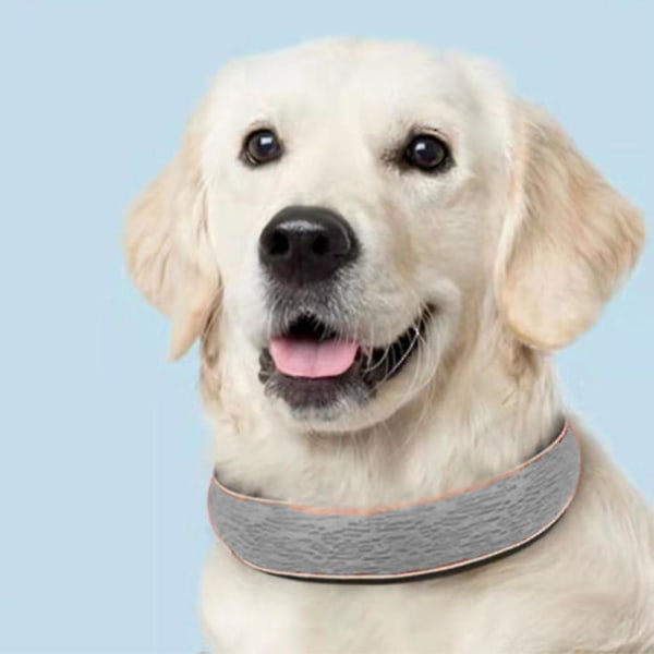 Kjæledyrprodukter Hundehalsbånd Refleks Små, Middels og Store Hunder