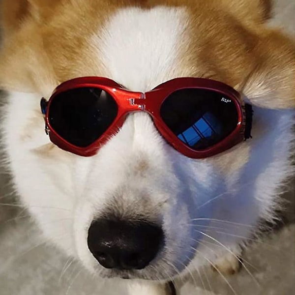 Hundesolbriller, justerbar strop til UV-solbriller, vandtæt Style 3