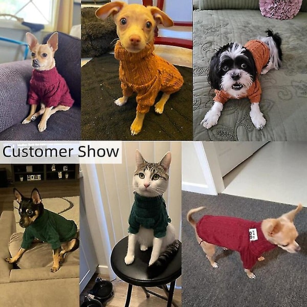 Vinter Hundetrøje rullekrave Ensfarvet Hundetøj Varmt Bomuld Til Hvalp Små Mellem Hunde Sweatshirt Jakke Chihuahua Teddy 6 Gul S