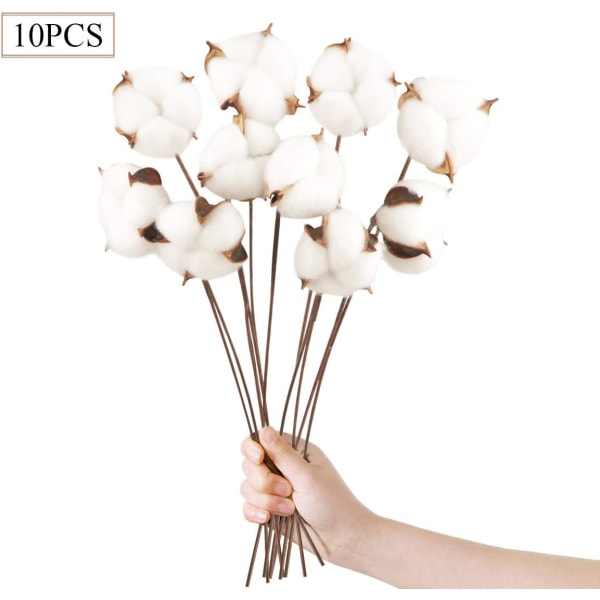 10-pack naturliga bomullsblomsterstammar - falska bomullsgrenar