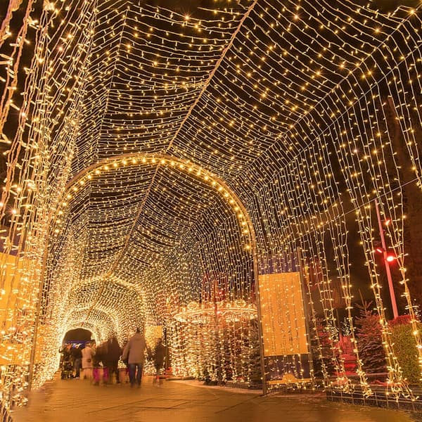 Julgransbelysning, 100 m, 1000 LED-lampor