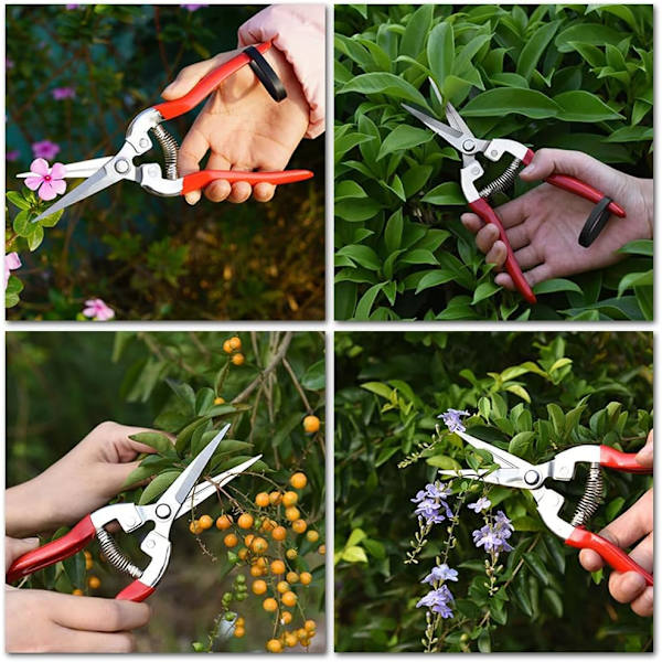 2 stk. robuste beskjæringssaks hagesaks hagesaks profesjonelt mikrospiss beskjæringsverktøy for å arrangere blomster, trimming