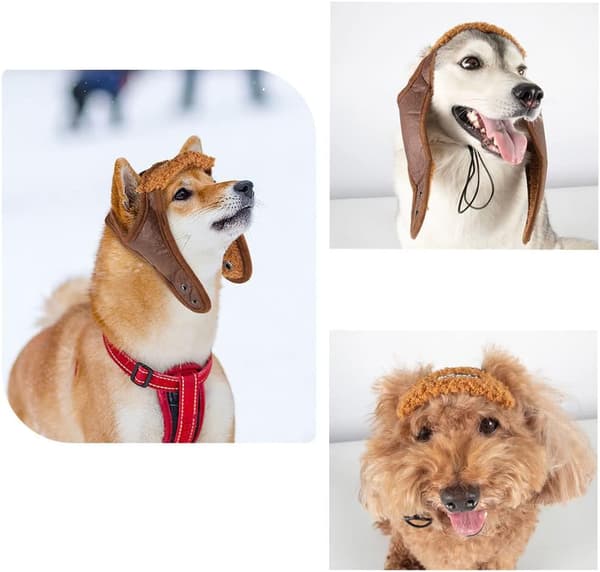Hundflygarhatt, hundvinterpilotmössa med öronlappar för kallt väder (stor, kaffe)