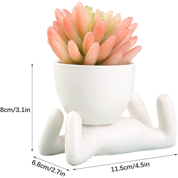 Keramiske Sukkulente Plantepotter, Kreative Små Menneskeformede Blomsterpotter, Små Plantepotter, Hvide Keramiske Blomsterpotter, Små Blomsterpotter color 3