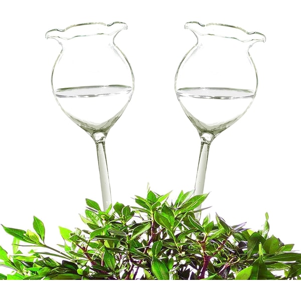 Plant Waterer Self Watering Globes Self Watering Spikes, Hand Blown Clear Glass Plant  Fill from Top, 2 Flower Shape