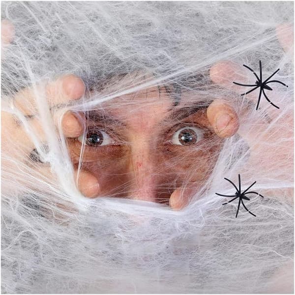 1 stk Halloween Spindelvev Elastisk Falsk Spindelvev og Edderkopper Innendørs Utendørs Hage Spøkelseshus Dekor (20g, hvit)