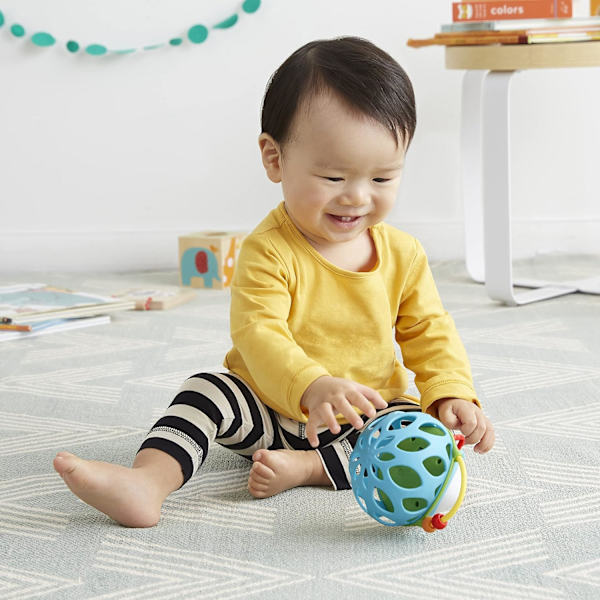 Baby Rattle Toy, Explore and More Roll Around Rattle, Hedgehog