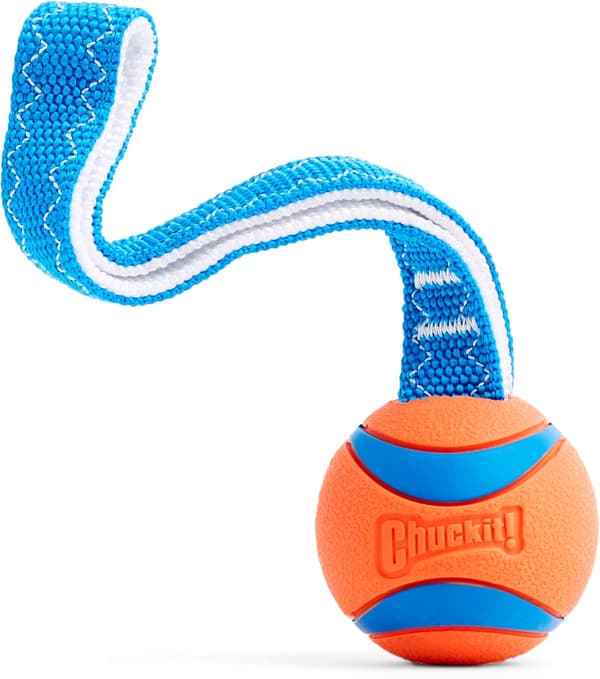 Hundeleke med gummiball, drakamp, interaktiv kasteleke for hunder, medium