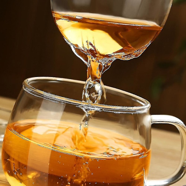Glas Tekopp 400ml Borosilikatglas Tekopp Kaffe Kopp Te Bryggare Fig
