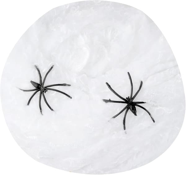 1 stk Halloween Spindelvev Elastisk Falsk Spindelvev og Edderkopper Innendørs Utendørs Hage Spøkelseshus Dekor (20g, hvit)