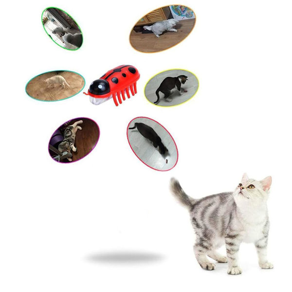 2 stk Mini Beetle Electric Insect Cat Bug Vibration Pet W