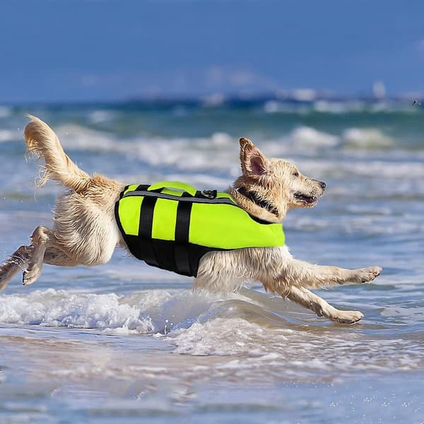 Hunderedningsveste Redningsveste til hunde Bærbare oppustelige redningsveste W