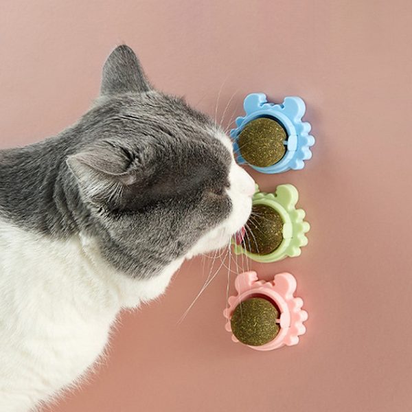 Kæledyrsting Sund Kat Kattespids Legetøj Bold Kat Godbidder slikker Snacks. pink&green&blue 3 pcs