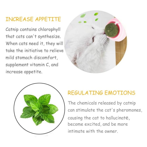 4 stk Catnip bolde, Tandrensning Kattespids legetøj til katte, 5*4cm.