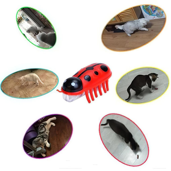 2 stk Mini Beetle Electric Insect Cat Bug Vibration Pet W