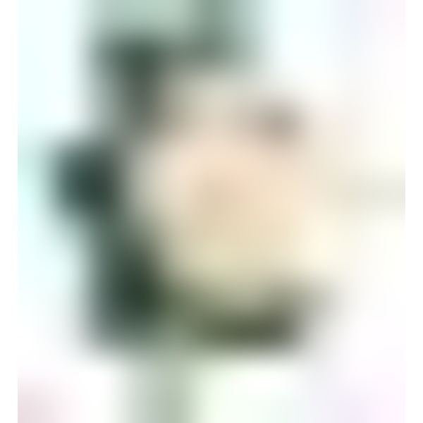 Stuffed & Plush Snorlax Pikachu Samme som Abo W