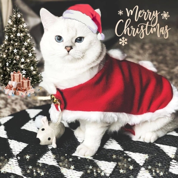 Husdjur jul Dräkt Katt Outfit Liten Hund Xmas Hatt med mantel Set Katt Nyår