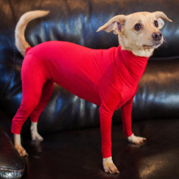 Pet Coat Hund Body Stretch Suit Post Kläder Operation Jumpsuit . red M