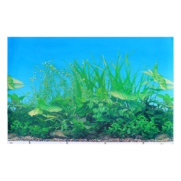 Akvarie Bakgrunn Undervanns Plakat Akvarium Bakgrunn Landskap 80X42CM