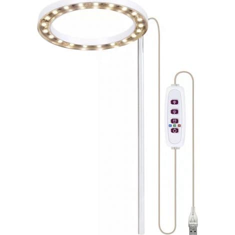 LED-kasvivalo