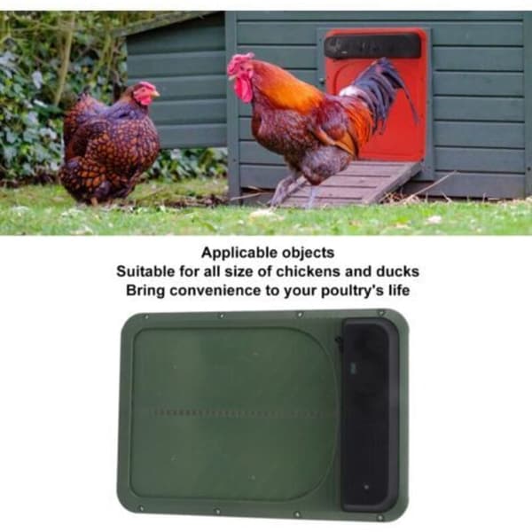 Jeffergarden Automatic Chicken Coop Door, Solar Powered Safe with Light Sensor for Green Poultry