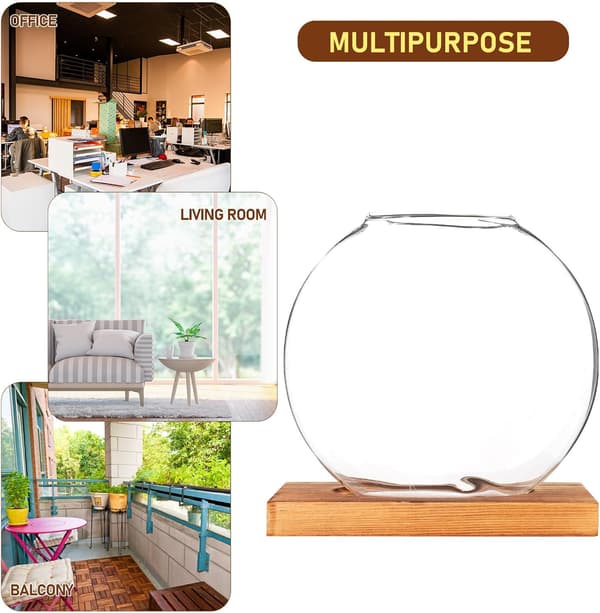 Hydroponic Bottle Desktop Decoration with Rounded Corners Wood and Glass Artistic Hydroponic