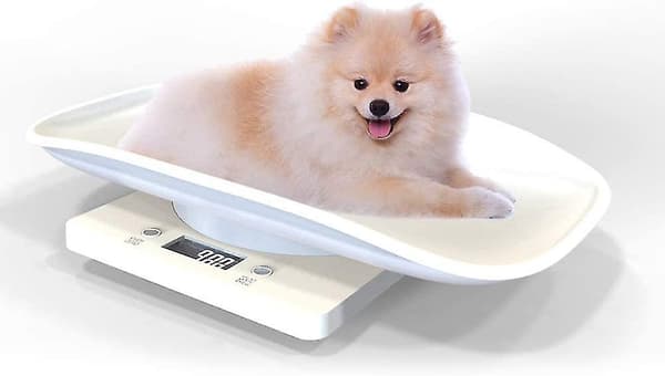 Multifunctional Digital Pet Scale Large LCD Screen Electronic Scale Weight 10kg Capacity Pet - Perfet