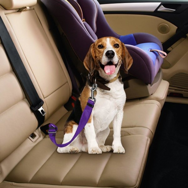 4-pack justerbart bilbälte för hundkatt, säkerhetsledningar Bilsele för bilsäte, nylon - svart, blått, rött, lila
