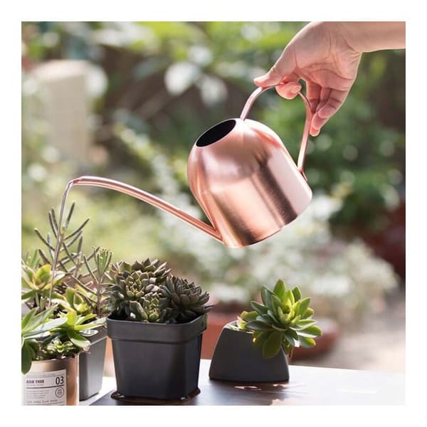 Vannkanne i rustfritt stål for vanning av hage, blomster og planter, 500 ml (A)