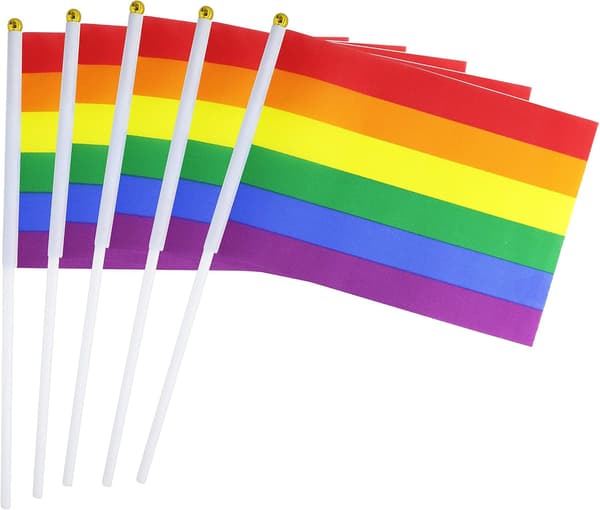 50 stk. prideflagg liten miniflagg bæreflaggstang Amerika
