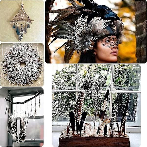 Natural Pheasant Tail Feathers Long Pheasant Feathers Decor DIY Carnival Supplies