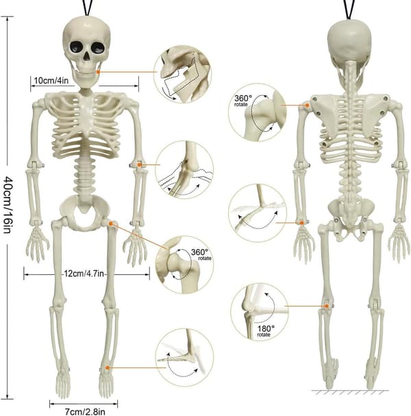 Halloween-skalledekorasjon med bøyelige ledd