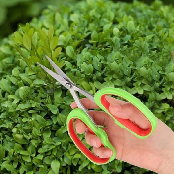 Garden Pruning Shears, Japanese Bonsai Garden Tools, Fruit Tree Branch Pruning Shears, Grape Pruning Shears