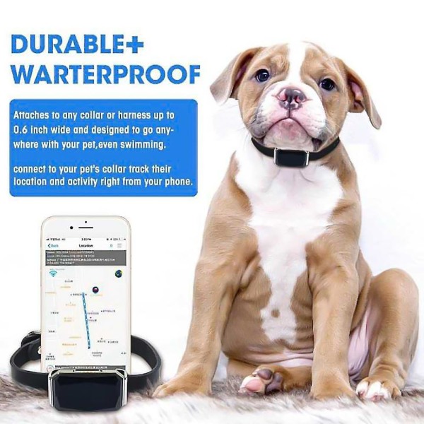 Multifunksjonell hunde-GPS-halsbåndsøker med Smart Pet Tracker - GPS-sporere
