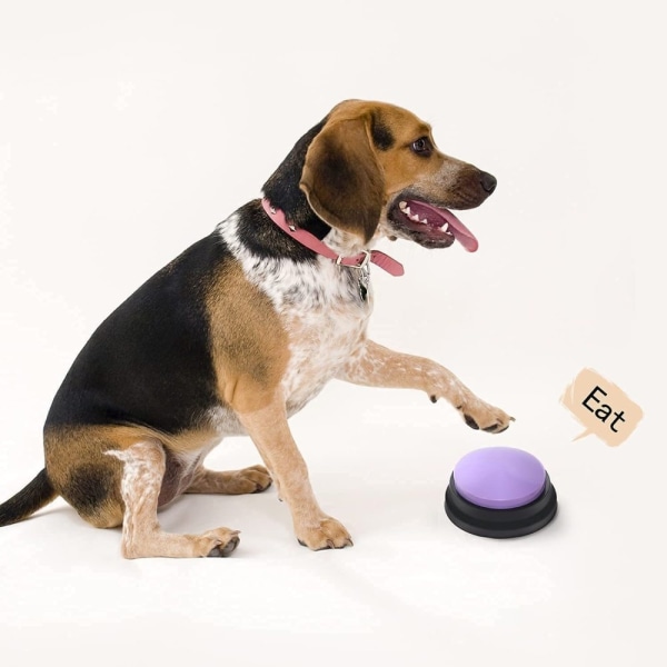 Inspelningsbar ljudknapp Hund för hund Interaktiv knappröst för hundleksak Inspelning Röstknapp talar