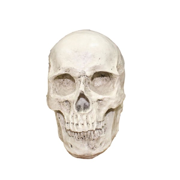 Harpikskranium Realistisk Menneskeskalle Gotisk Halloween Dekoration Ornament