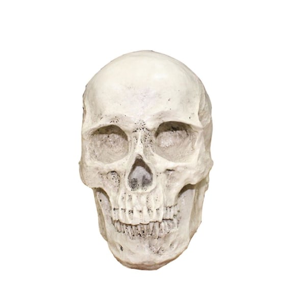 Resin Skull Realistinen ihmisen kallo goottilainen Halloween-koriste
