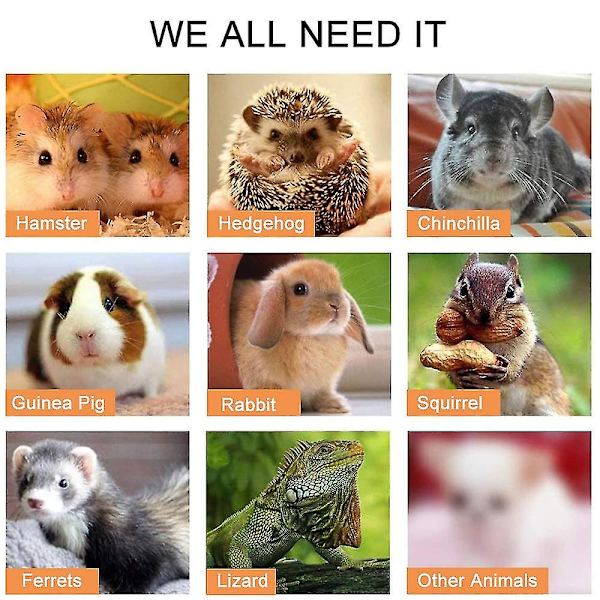 Mini støvpanne og kostsett, bærbar elegant dyreavfall-rengjøringssett, hamster sandskuffe burrengjøringsverktøy for små kjæledyr