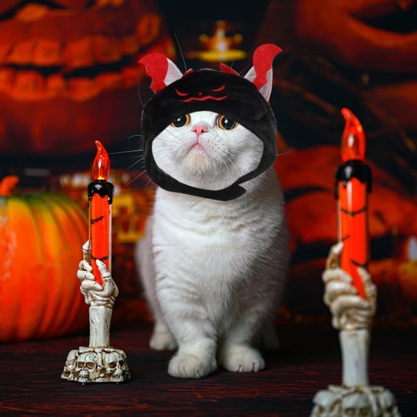 Katt Halloween Djävulskostym Hund Halloween Djävulshätta Husdjurshuvudbonad för Halloweenfest Justerbar Djävulsmössa Svart Djävulshätta