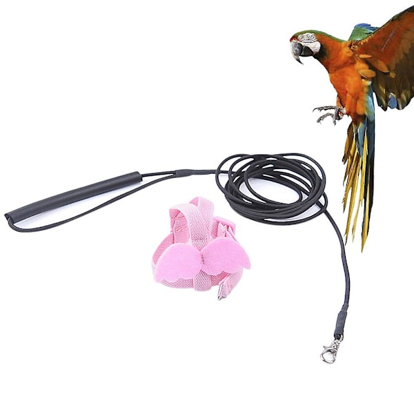 Lemmikkivaljaat Linnun Talutin Papukaijan Koulutus Köysi Linnun Orret Papukaijat Budgie Talutin Suuri Linnun Orsi Lajitelma Väri 27X9CM