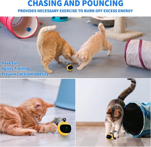 Interactive Remote Control Cat Toy Ball, Automatic Moving Rolling Feather Toy USB Rechargeable Motion Activated Play for Indoor Cats