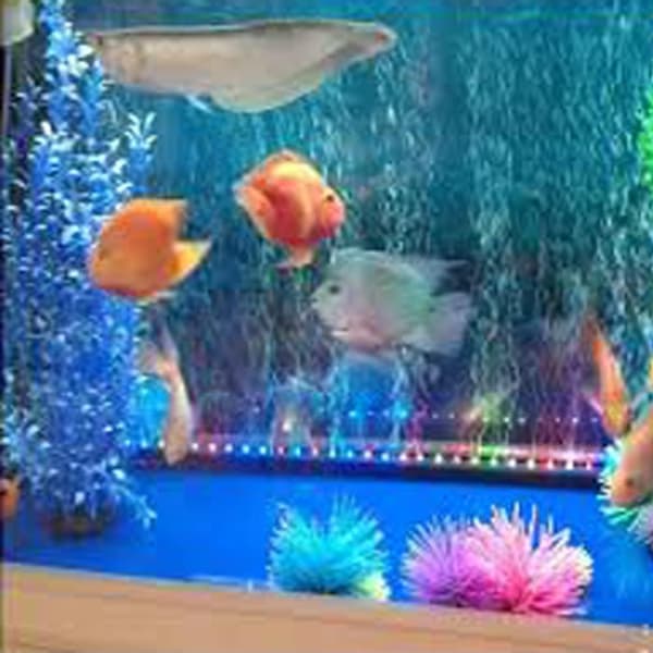 Vanntette nedsenkbare LED-telys for bryllup, fest, dekorasjon, mini akvarielampe LED akvarielys (12 gule lys)