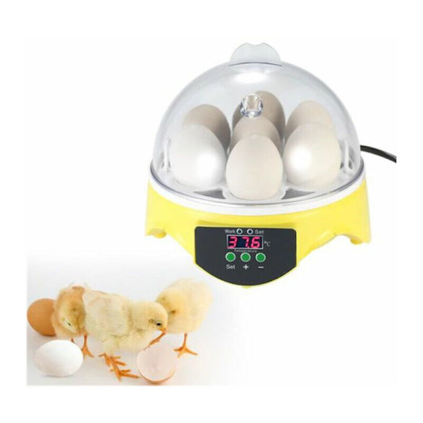 Mini Egg Incubator 15.5 x 15.5 x 15 cm Capacity 7 Eggs Hatching Tool