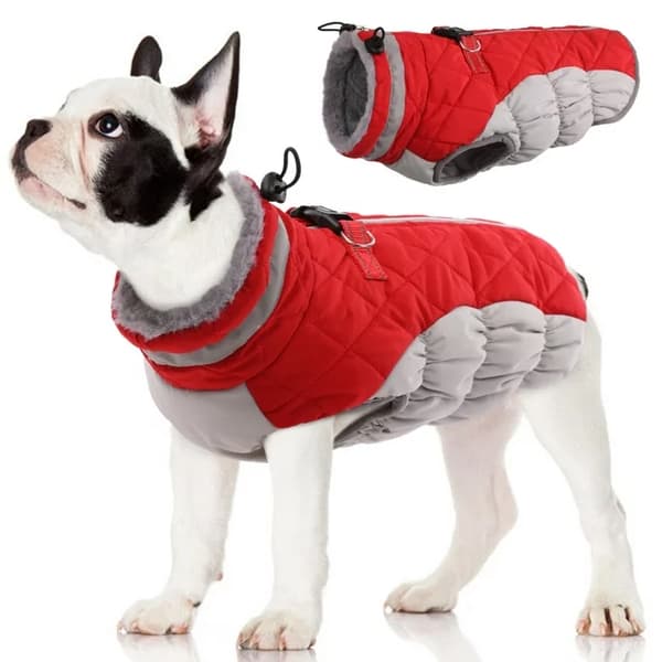 Dog Size L, Red Winter Jacket for Warmth and Reflection, Dog Jacket