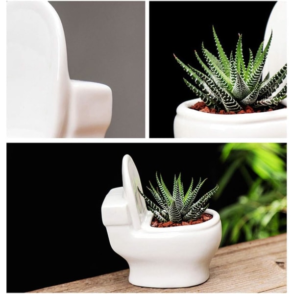 Toiletform Urtepotte Moderne Stil Keramik Keramik Blomster Sukkulent Kaktus Bonsai Urtepotte Mini Blomsterplante Indeholder