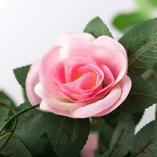 Rosebue espalier metall 240 cm*4