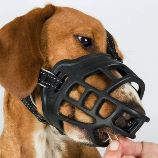 Ergonomisk pasform, åndbart hundemundkurv til uhindret gispning, drikkeri og slikspisning