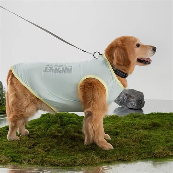Kjølevest for hund